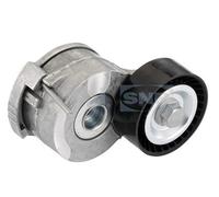SNR GA359.27 Rullo tenditore, Cinghia Poly-V