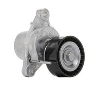 SNR GA359.37 Rullo tenditore cinghia Poly-V