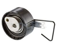 SNR GT361.15 Rullo tenditore, cinghia dentata
