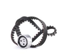 SNR KD455.13 Kit cinghia di distribuzione
