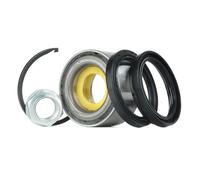 Set di cuscinetti ruota SNR R181.09