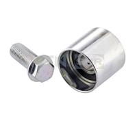 SNR Rullo Guida Cinghia Distribuzione Per VW Golf Plus 1.6 2.0 FSI Audi A4