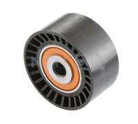 SNR Rullo Guida Cinghia Per Opel Crossland X 1.2 1.6 TURBO D