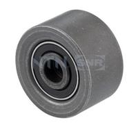 SNR Rullo Guida Cinghia Per Peugeot 206 CC 1.6 16V 307 Citroën