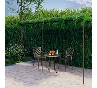 Snsowed Pergolato da Giardino Marrone Anticato 6x3x2,5 m in Ferro,Pergola Esterno Giardino,Pergolati da Giardino,Decorazioni per Il Giardino-313999