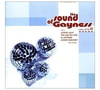 So klingt Schwulsein (CD Compilation, 29 Tracks, Various, Diverse Artists, Künstler)