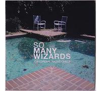 SO MANY WIZARDS - night chills / daydream