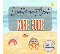 So You Got a Hermit Crab… Now What?: What Pet Stores Don’t Tell You