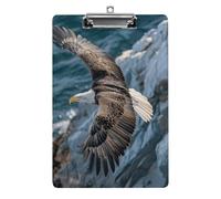 Soaring Eagle Pictures, portablocco formato A4, formato lettera, con clip a basso profilo, in acrilico leggero, tavoletta portablocco decorativa per infermieri, lavoro, ufficio, 31 x 21 cm