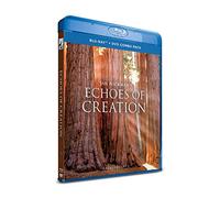 Soaring Visions: Echoes of Creation
