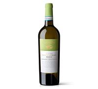 Soave DOC Monte Ceriani Tenuta Sant'Antonio 2019 0,75 ℓ