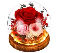 SOBEAU Rosa Eterna Stabilizzata, Vera Fiori Stabilizzati, LED Rosa Conservato Sfera di Cristallo, Regalo per Donne Mamma Moglie, Rosa Eterna Anniversario Compleanno San Valentino Natale Festa Della