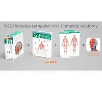 Sobotta Atlas der Anatomie, 3 Bände + Lerntabellen + Poster Collection im Schub