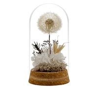 SOBOUR Fatto a Mano Fiori conservati Bouquet di Denti di Leone Fiori conservati in Vetro Decor Fiori Artificiali,Regali per Le Donne,Regali per i Migliori Amici Bella Scelta