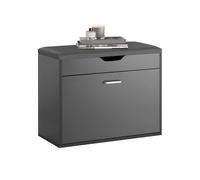 SoBuy Scarpiera salvaspazio Slim, portascarpe salvaspazio Regolabili,scarpiere,scarpiera pieghevole L60*P30*A50 cm, Bianco FSR95-W