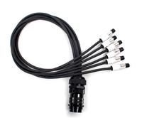 Socapex Ragno - Neutrik Grigio Powercon (20a) A 19 Asta Femmina Soca