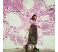 Soccer Mommy Sometimes, Forever (Vinyl LP) 12" Album