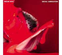 Social Lubrication - Dream Wife (Audio cd)