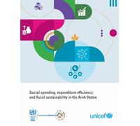 Social Spending, Expenditure Efficiency and Fiscal Sustainability in the Arab States