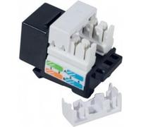 Società di connessione RJ45, CAT 5E, formato corto Keystone, nero per l'installazione in portatori di moduli, date o alloggi I NEW