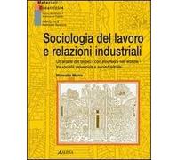 Sociologia del lavoro e relazioni industriali. Un'analisi del lavoro con incursioni nell'edilizia tra società industriale e neoindustriale