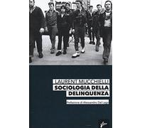 Sociologia della delinquenza