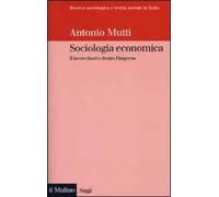 Sociologia economica. Il lavoro fuori e dentro l'impresa