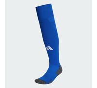 socks da calcio AEROREADY adi 24 Royal Blue / Team Navy Blue 2 / White 28-30