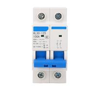 Socobeta Interruttore Automatico di Isolamento 2P Versatile per la Sicurezza Elettrica, Mini Sezionatore Domestico da 100 A 400 V per Applicazioni Commerciali