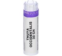 Sodini Thuya Occidentalis 80 Granuli 30 Ch Contenitore Multidose 4 g G