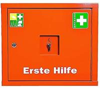 Söhngen Juniorsafe 0503019 - Armadio con serratura di sicurezza, a una anta, in lamiera sottile