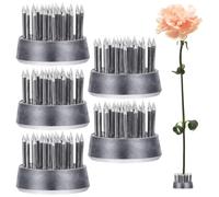 SOESFOUFU Supporto per Fissaggio Floreale Base Rotonda Set 5 Pezzi in Acciaio Inossidabile Argento e Fissare Fiori e Rami per Composizioni Floreali, per Flower Arranging