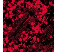 SOEUMBALGWANG [FIRE AND LIGHT] 3° album/CD + libretto K-POP SIGILLATO