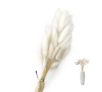 SoeUyd 50 Pezzi Fiori Secchi Decorativi, Decorazioni Casa Fiori Secchi, Pampa Decorativa Fiori Secchi Decorazioni Floreali, Decorazioni Ufficio, Decorazioni Matrimonio e Fiori Fai da Te (B)