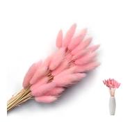 SoeUyd 50 Pezzi Fiori Secchi Decorativi, Decorazioni Casa Fiori Secchi, Pampa Decorativa Fiori Secchi Decorazioni Floreali, Decorazioni Ufficio, Decorazioni Matrimonio e Fiori Fai da Te (F)