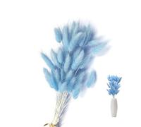 SoeUyd 50 Pezzi Fiori Secchi Decorativi, Decorazioni Casa Fiori Secchi, Pampa Decorativa Fiori Secchi Decorazioni Floreali, Decorazioni Ufficio, Decorazioni Matrimonio e Fiori Fai da Te (C)