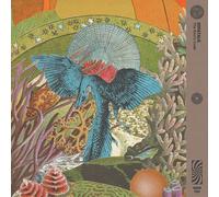 Sofatalk The Soul's Code (Vinyl LP) 12" Album