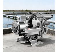 Soffiante Vortice Doppia Funzione - Alluminio Aerospaziale | Motore in Rame Puro | Basso Rumore | 220/380V | 47/87m³/h | Pompa Vuoto per Soffiaggio Aria, Aerazione 220V/550W