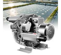 Soffiante Vortice Professionale, Doppia Aspirazione & Scarico, Raffreddamento Antipolvere a Tripla Protezione, Motore in Rame Puro, per Compiti Continui di Ossigenazione e Ventilazione 220V/1100W