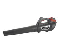 Soffiatore a Batteria 40V Getto d’Aria 650 m³/h Motore Brushless