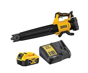 Soffiatore assiale XR 18V brushless con 1 batteria Li-Ion 5Ah