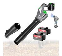 Soffiatore d’aria, Soffiatore di foglie senza fili con Batteria e Caricatore, Elettrico Portatile 4 Velocità, 180° Rotabile per Giardino, Prato, Terrazza, Garage