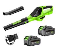 Soffiatore di foglie senza fili 21 V con 2 batterie, 5 velocità, aspirapolvere soffiatore foglie potente per la manutenzione del prato, soffiaggio della neve e rimozione della polvere (verde)