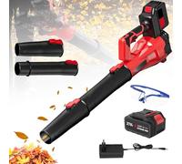 Soffiatore di foglie senza fili con 2 batterie 3000 mAh, 6 velocità, con occhiali,30000RPM,Soffiatore potente a batteria, Soffiatore da giardino per soffiare foglie, neve e spinta (1 batteria)