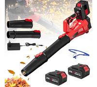 Soffiatore di foglie senza fili con 2 batterie 3000 mAh, 6 velocità, con occhiali, 30000RPM, soffiatore potente a batteria, soffiatore da giardino per soffiare foglie, neve e spinta (2 batterie)