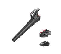 Soffiatore di foglie senza fili con 2 x 7,5 Ah batteria e caricatore soffiatore a mano leggero per la cura del prato, foglie che soffiano, polvere, neve, ghiaia per cortile da giardino, verde, nero, 2