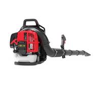 Soffiatore Globex con Motore a Scoppio per Giardinaggio Soffia Foglie