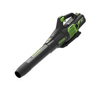 SOFFIATORE GREENWORKS GD60AB