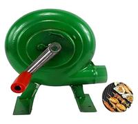 Soffiatore per Forgia da Fabbro, Accendifuoco for griglia, accendifiamma, pala del ventilatore in metallo, utensile manuale for la cottura in camino da esterno(300W)
