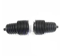 Delphi Kit soffietto TBR3103 - sterzo cremagliera assale anteriore per Renault 19/20